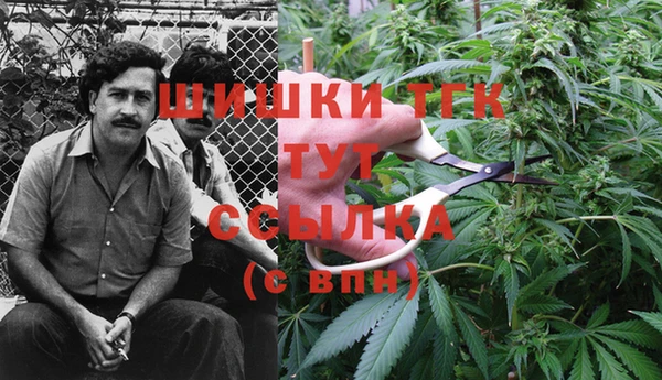 индика Туринск