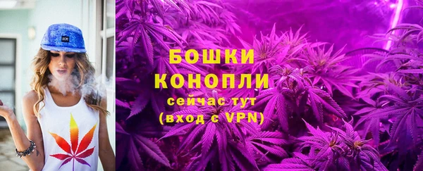 не бодяженный Лабытнанги