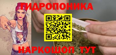 хмурый Абакан