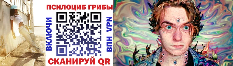 дарк нет телеграм  Шумерля  Галлюциногенные грибы Magic Shrooms  MEGA ТОР 