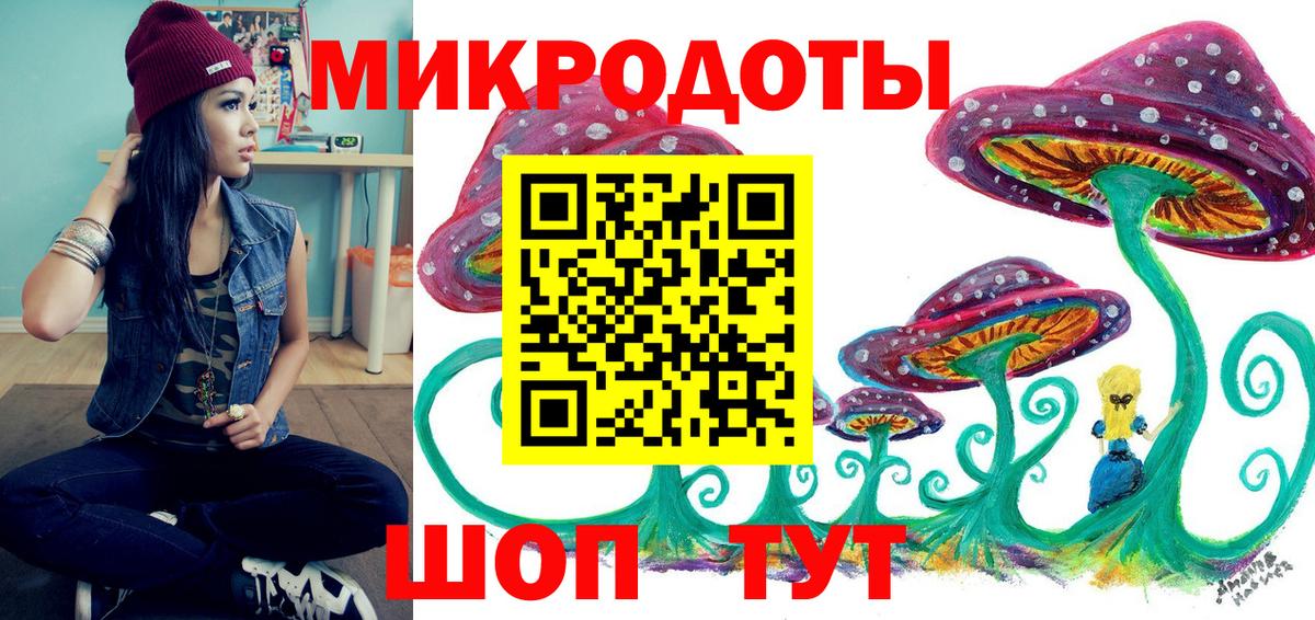 Псилоцибиновые грибы прущие грибы  Псилоцибиновые грибы Psilocybe  Шумерля 