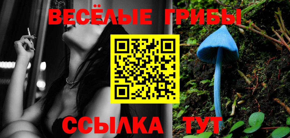 Галлюциногенные грибы Cubensis  Вход с VPN  Шумерля 