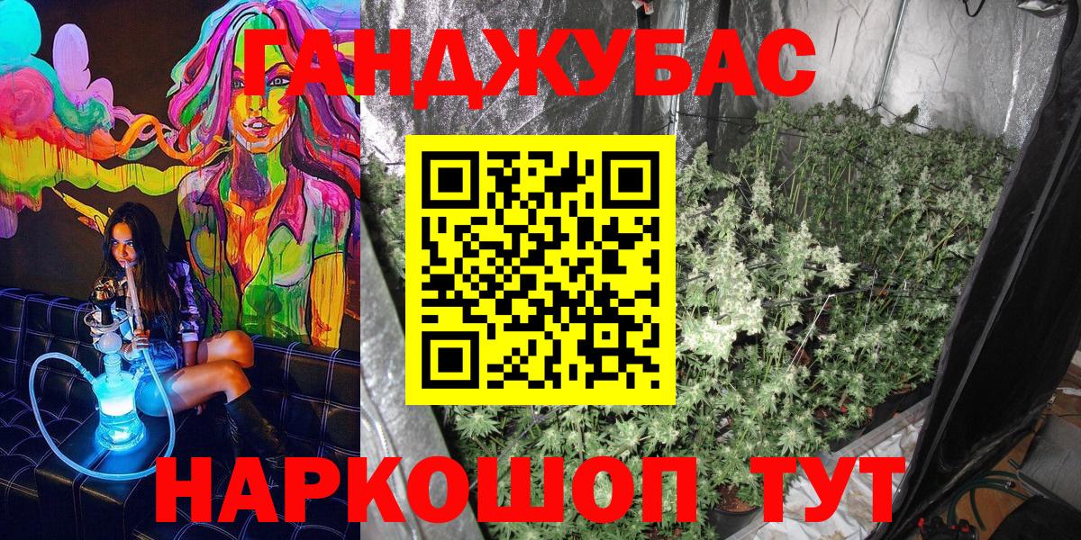 Шишки марихуана семена  Шумерля  Каннабис индика  Марихуана Ganja 